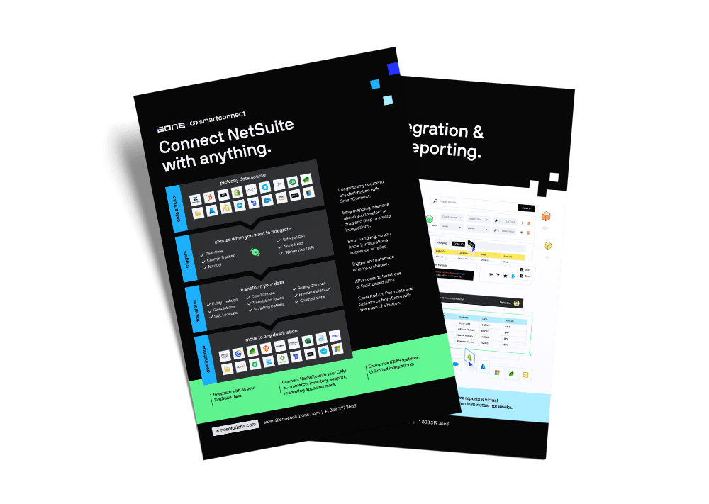 eOne NetSuite Brochure